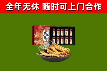 象州县回收冬虫夏草价格
